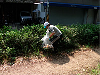 クボタeデー　久宝寺緑地の清掃