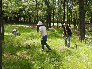 レッツ久宝探検隊自然観察ゾーン再生プロジェクト 2016年5月22日（日）