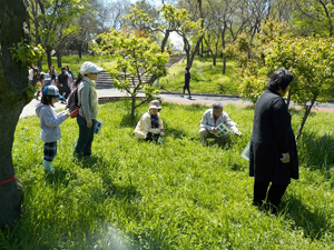 4月23日（日）レッツ久宝探検隊「春の野草観察会」