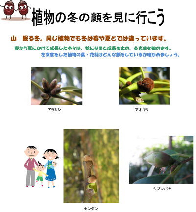 大阪 久宝寺緑地 レッツ久宝探検隊「植物の冬の顔を見に行こう」