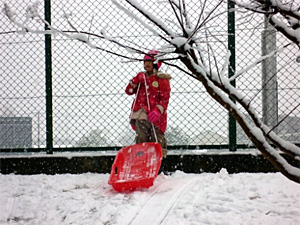 2月11日久宝寺緑地に雪が積もりました。
