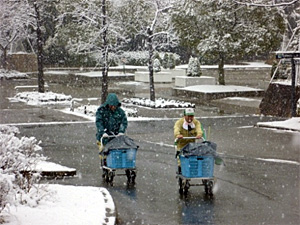 2月11日久宝寺緑地に雪が積もりました。 