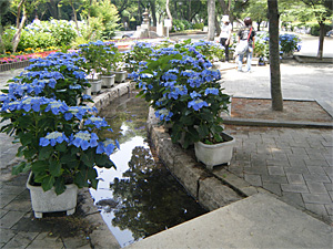 花と水の広場