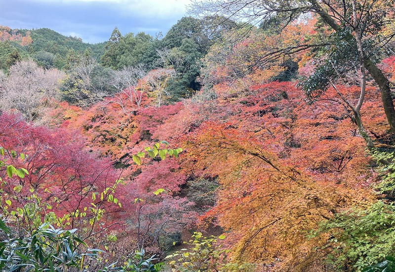 延命寺の紅葉