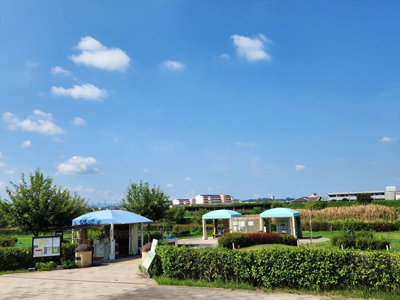 石川河川公園パークゴルフ場イメージ