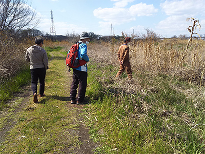 「石川自然クラブ」石川の希少種を守る！自然ボランティア レポート