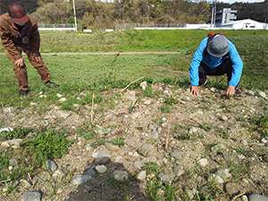 「石川自然クラブ」石川の希少種を守る！自然ボランティア レポート