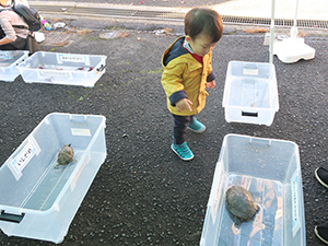 奥河内.meフェスティバル移動水族館 レポート