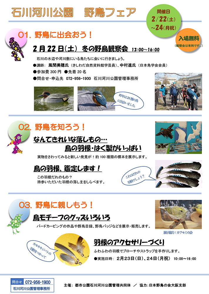 石川河川公園 野鳥フェア 大阪府営5公園ポータル いこいこ おおさかの公園 イベント 大阪府営5公園ポータル いこいこ おおさかの公園 石川河川公園 野鳥フェア 大阪府営5公園ポータル いこいこ おおさかの公園 イベント 大阪府営5公園ポータル いこいこ おおさかの公園