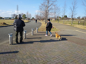 新春ペット撮影会　レポート