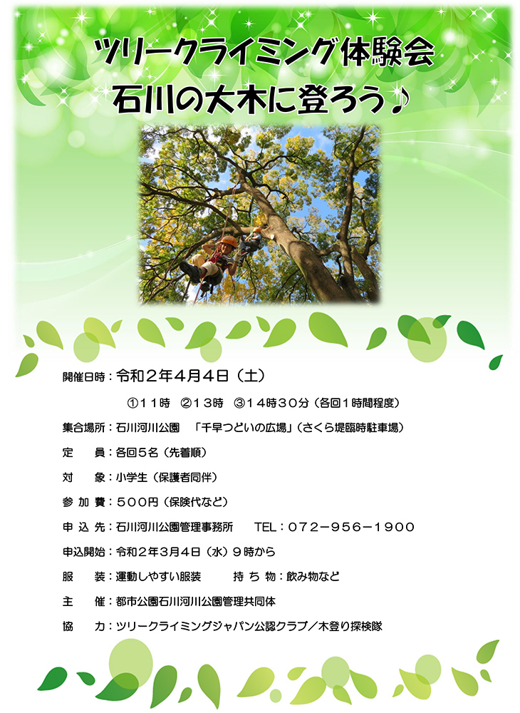 中止 ツリークライミング体験会 石川の大木に登ろう 大阪府営5公園ポータル いこいこ おおさかの公園 イベント 大阪府営5公園ポータル いこいこ おおさかの公園 中止 ツリークライミング体験会 石川の大木に登ろう 大阪府営5公園ポータル いこいこ おおさかの公園 イベント 大阪府営5公園ポータル いこいこ おおさかの公園
