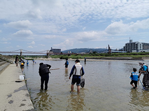 Family Nature Program 2020 石川中流での魚とり観察会①レポート