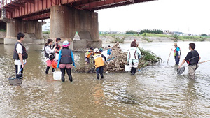 Family Nature Program 2020 石川中流での魚とり観察会②レポート