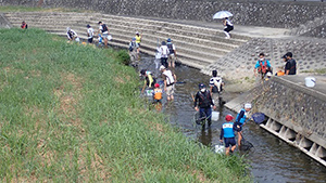 Family Nature Program 2020 飛鳥川での魚とり観察会②
