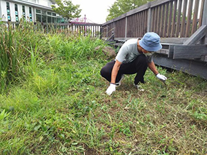 「石川自然クラブ」石川の希少種を守る！自然ボランティア
