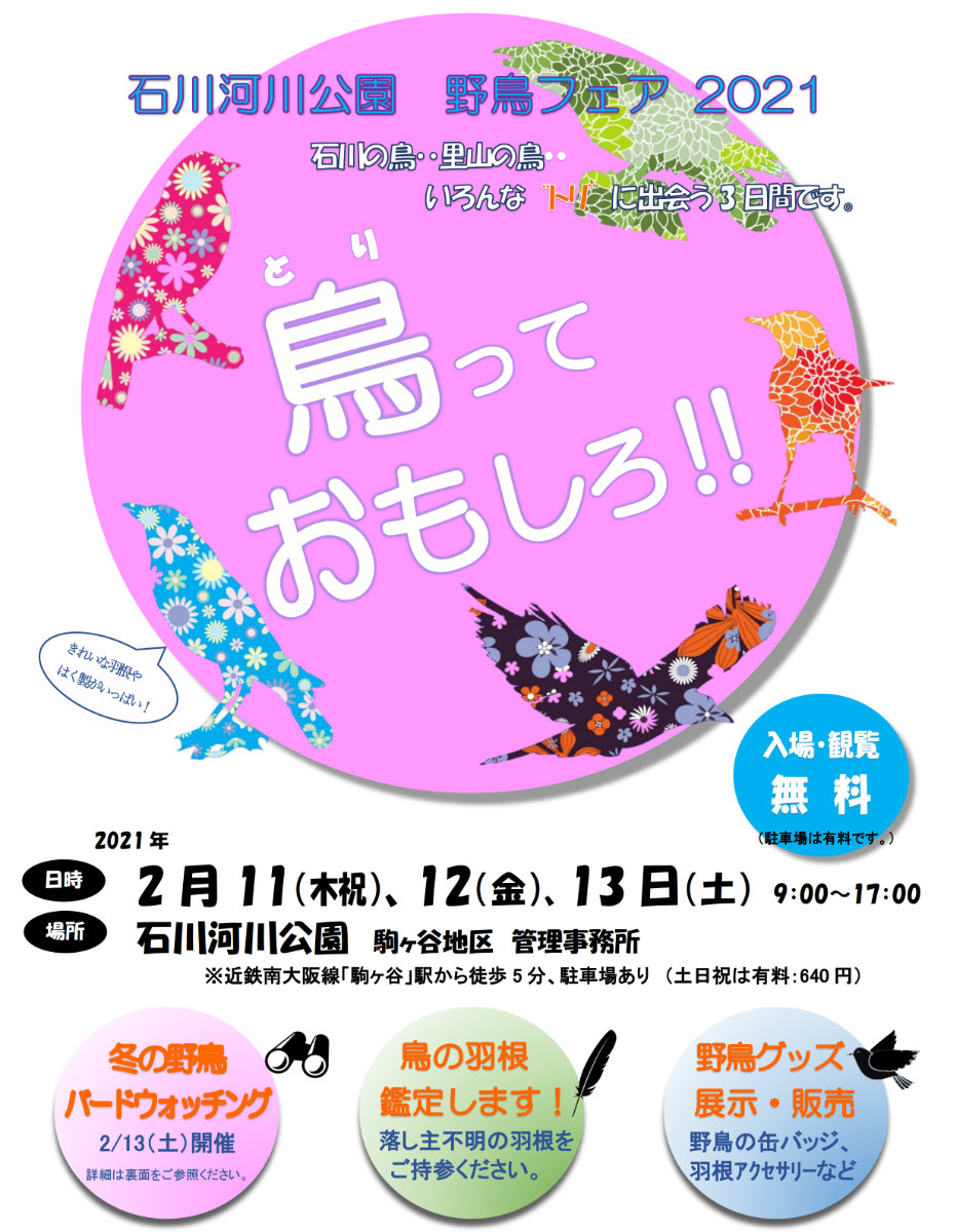 鳥っておもしろ 石川河川公園 野鳥フェア21 大阪府営5公園ポータル いこいこ おおさかの公園 イベント 大阪府営5公園ポータル いこいこ おおさかの公園 鳥っておもしろ 石川河川公園 野鳥フェア21 大阪府営5公園ポータル いこいこ おおさかの公園 イベント 大阪府営5公園ポータル いこいこ おおさかの公園