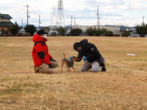 「愛犬しつけ教室 体験会」レポート