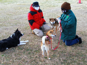 「愛犬しつけ教室 体験会」レポート