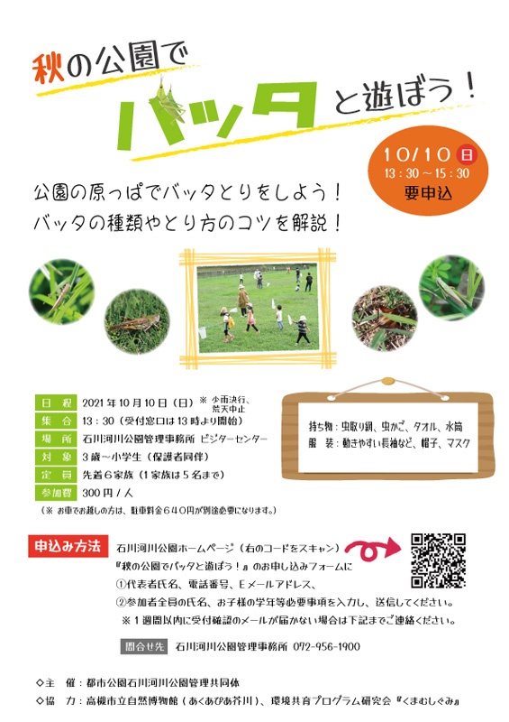 秋の公園でバッタと遊ぼう 大阪府営5公園ポータル いこいこ おおさかの公園 イベント 大阪府営5公園ポータル いこいこ おおさかの公園 秋の公園でバッタと遊ぼう 大阪府営5公園ポータル いこいこ おおさかの公園 イベント 大阪府営5公園ポータル いこいこ おおさかの公園