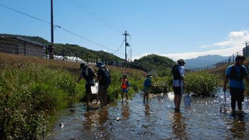 Family Nature Program 2021 飛鳥川での魚とり観察会