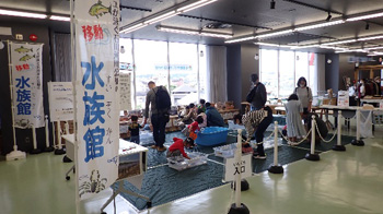 触れる水族館＠自然の学校 水の学校 in ゆいテラス レポート 