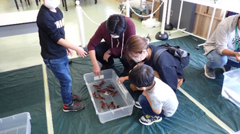 触れる水族館＠自然の学校 水の学校 in ゆいテラス レポート