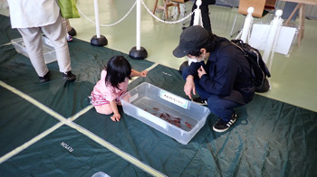 触れる水族館＠自然の学校 水の学校 in ゆいテラス レポート