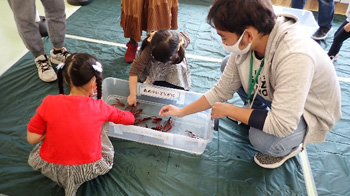 触れる水族館＠自然の学校 水の学校 in ゆいテラス レポート