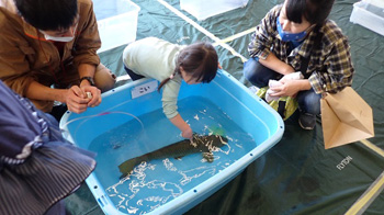 触れる水族館＠自然の学校 水の学校 in ゆいテラス レポート 