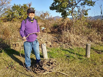 カヤネズミ草地のアレチウリ、クズ等の除去作業 