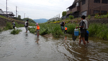 Family Nature Program 2022 飛鳥川での魚とり観察会