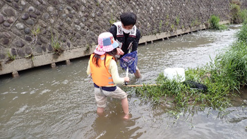 Family Nature Program 2022 飛鳥川での魚とり観察会
