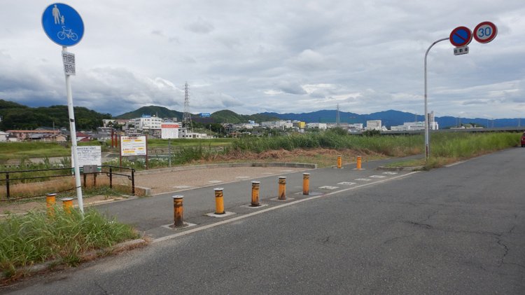 石川で魚とり観察会