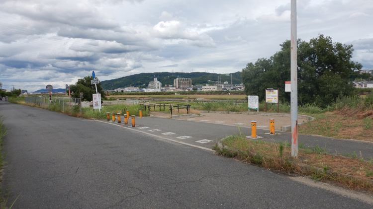 石川で魚とり観察会