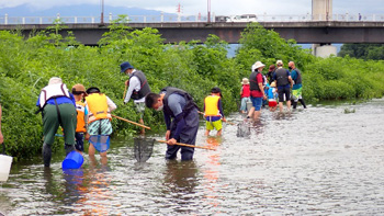Family Nature Program 2022石川中流での魚とり観察会①