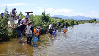 水辺の観察会～家族みんなで魚取り～