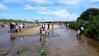 水辺の観察会～家族みんなで魚取り～