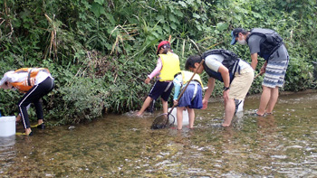 Family Nature Program 2022石川中流での魚とり観察会③