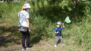 秋の公園でバッタと遊ぼう2022