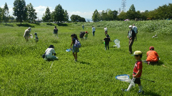 秋の公園でバッタと遊ぼう2022