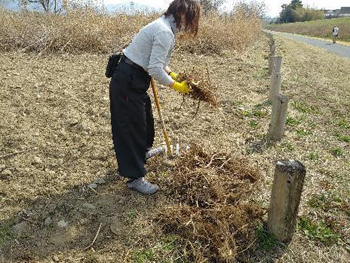 「石川自然クラブ」石川の希少種を守る！自然ボランティア 