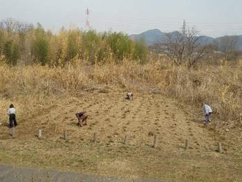 「石川自然クラブ」石川の希少種を守る！自然ボランティア