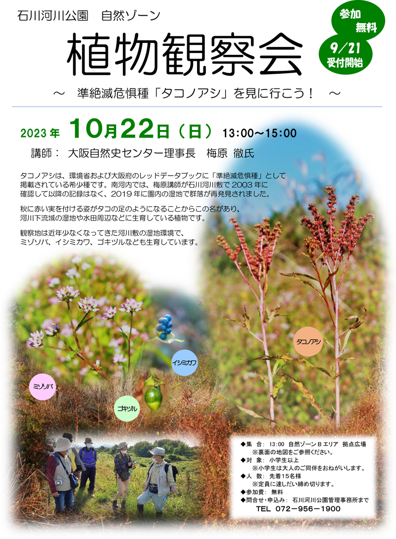 石川河公園 自然ゾーン 植物観察会 準絶滅危惧種「タコノアシ」を見に行こう!