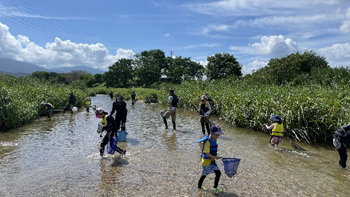 石川中流での魚とり観察会③ 梅川の澄んだ水をじゃぶじゃぶと歩き