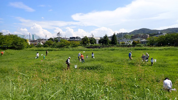 「秋の公園でバッタと遊ぼう！」 屋外に出てバッタを採集しました