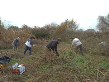 「石川自然クラブ」石川の希少種を守る！自然ボランティア