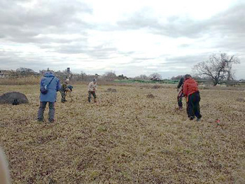 「石川自然クラブ」石川の希少種を守る！自然ボランティア ：カヤネズミ保護草地のクズ根マーキング