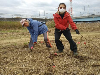 「石川自然クラブ」石川の希少種を守る！自然ボランティア：カヤネズミ保護草地のクズ根マーキング