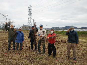 「石川自然クラブ」石川の希少種を守る！自然ボランティア：カヤネズミ保護草地のクズ根マーキング