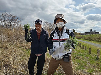 「石川自然クラブ」活動の様子：移植地の周囲1〜2mを刈り取り